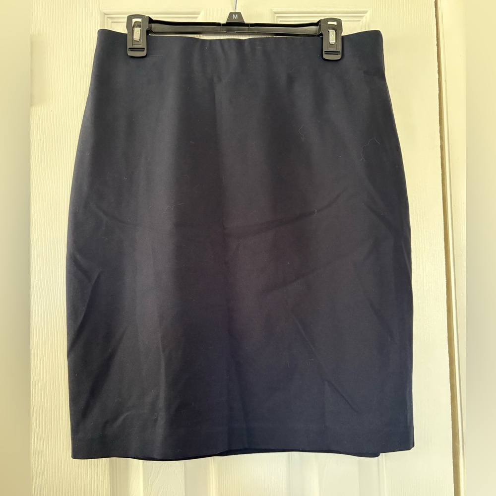 Philosophy Skirt